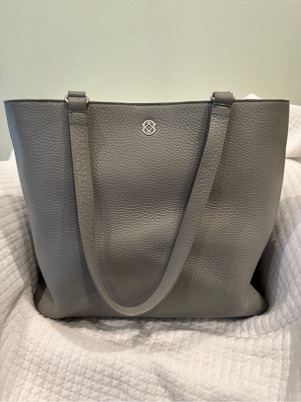 Dagne Dover Allyn Tote - Large and matching pouch